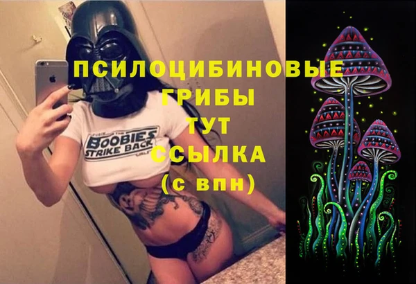 mdpv Белокуриха