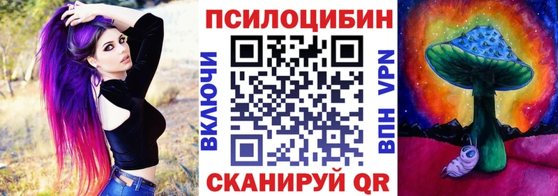 сколько стоит  Кузнецк  Псилоцибиновые грибы ЛСД 